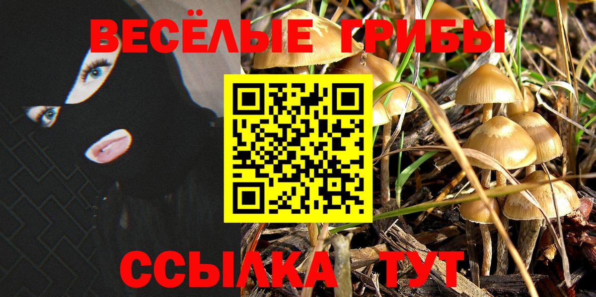 Нефтеюганск  Галлюциногенные грибы Magic Shrooms  Вход с VPN 